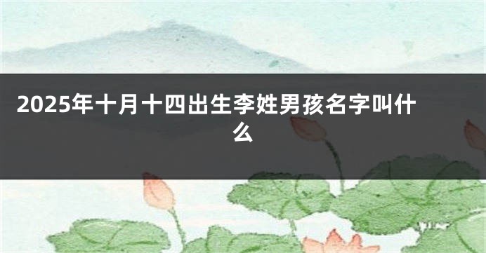 2025年十月十四出生李姓男孩名字叫什么