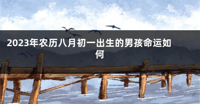 2023年农历八月初一出生的男孩命运如何