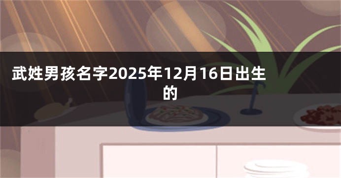 武姓男孩名字2025年12月16日出生的