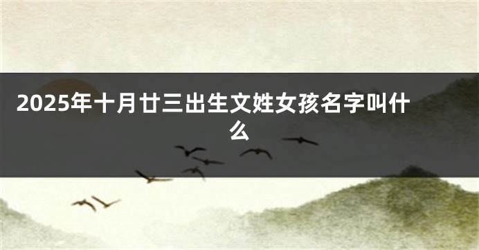 2025年十月廿三出生文姓女孩名字叫什么