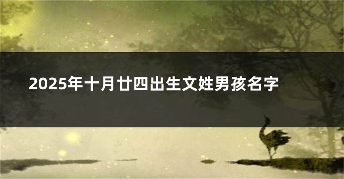 2025年十月廿四出生文姓男孩名字