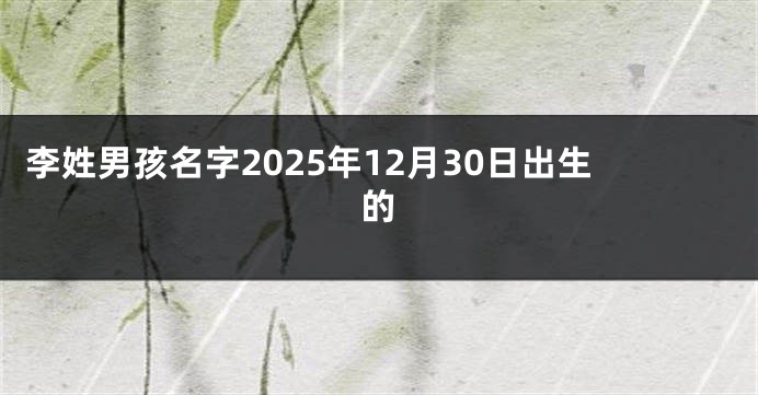 李姓男孩名字2025年12月30日出生的