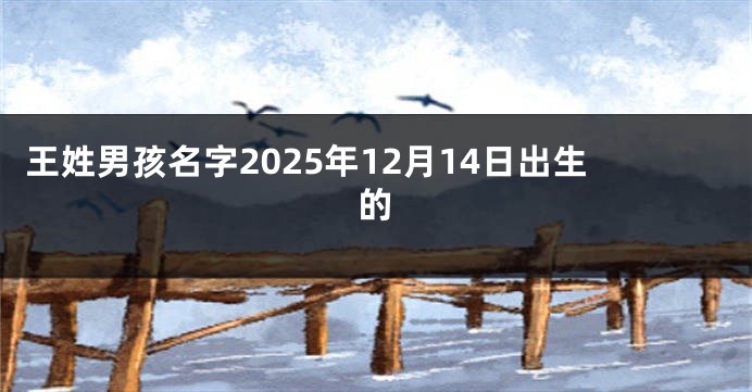 王姓男孩名字2025年12月14日出生的