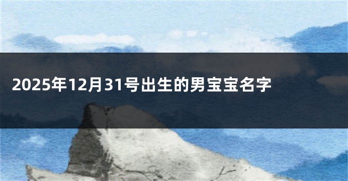 2025年12月31号出生的男宝宝名字
