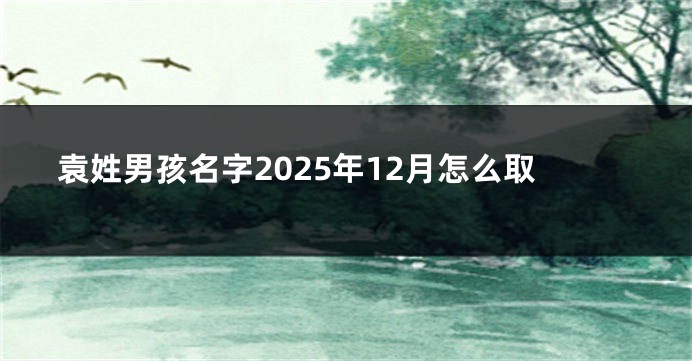 袁姓男孩名字2025年12月怎么取