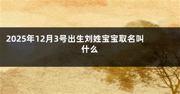 2025年12月3号出生刘姓宝宝取名叫什么