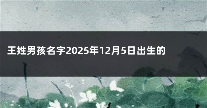 王姓男孩名字2025年12月5日出生的