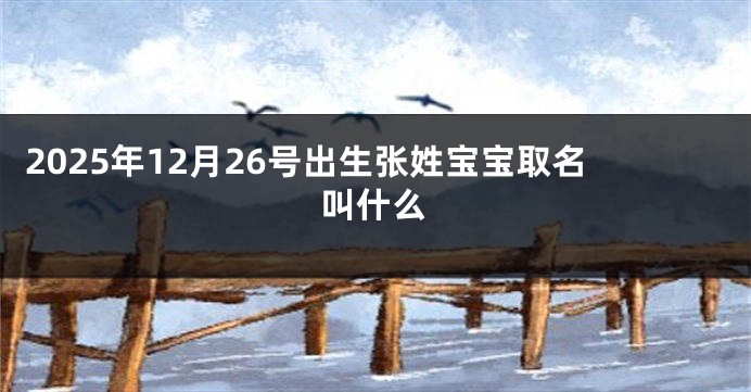 2025年12月26号出生张姓宝宝取名叫什么