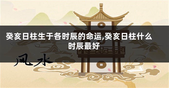 癸亥日柱生于各时辰的命运,癸亥日柱什么时辰最好