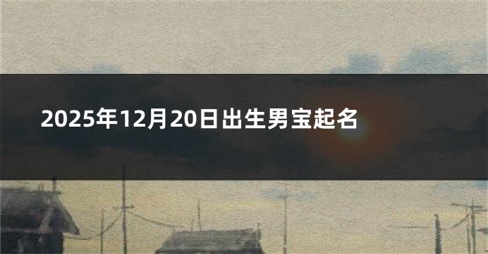 2025年12月20日出生男宝起名