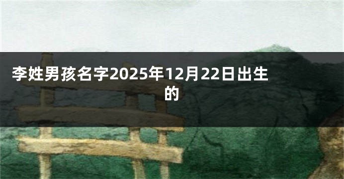 李姓男孩名字2025年12月22日出生的