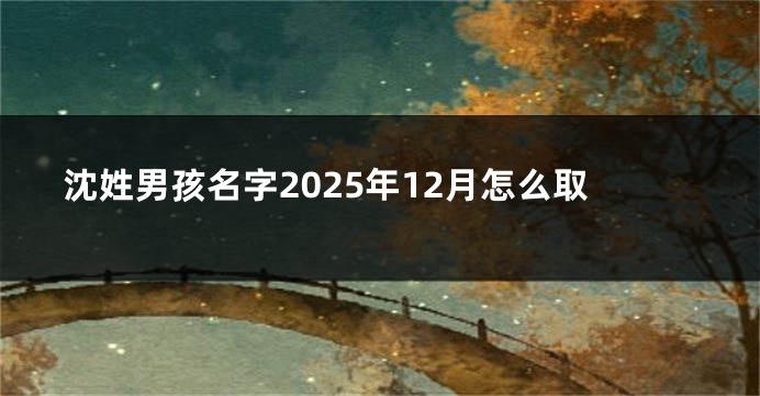 沈姓男孩名字2025年12月怎么取