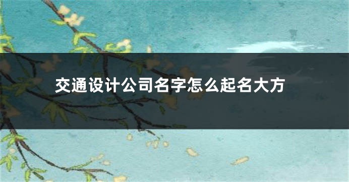 交通设计公司名字怎么起名大方