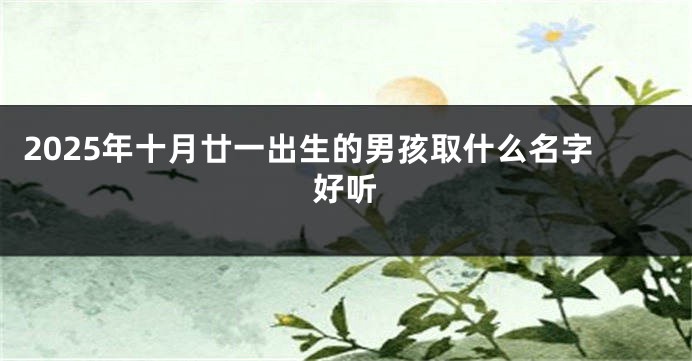 2025年十月廿一出生的男孩取什么名字好听