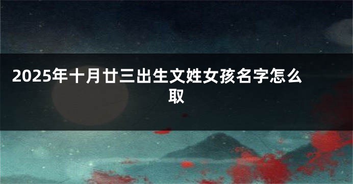 2025年十月廿三出生文姓女孩名字怎么取