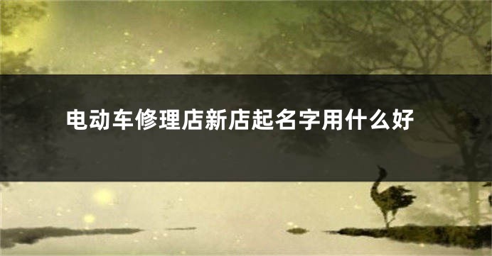 电动车修理店新店起名字用什么好