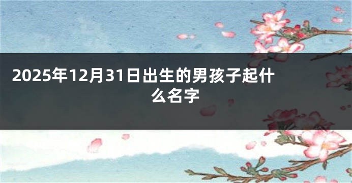 2025年12月31日出生的男孩子起什么名字