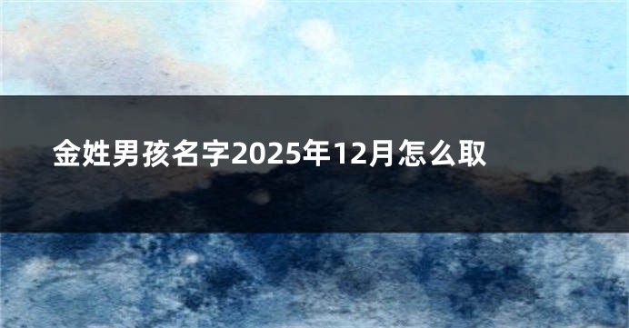 金姓男孩名字2025年12月怎么取