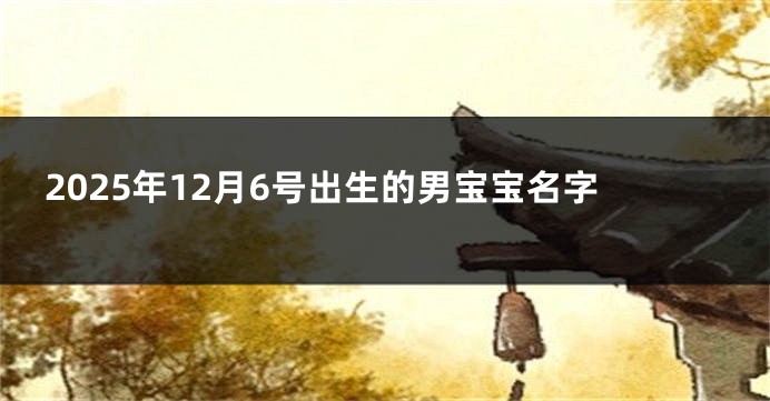 2025年12月6号出生的男宝宝名字