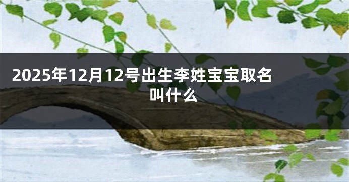 2025年12月12号出生李姓宝宝取名叫什么