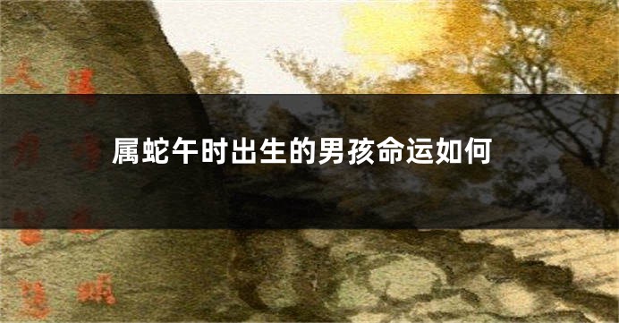 属蛇午时出生的男孩命运如何