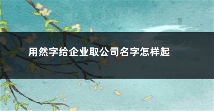 用然字给企业取公司名字怎样起