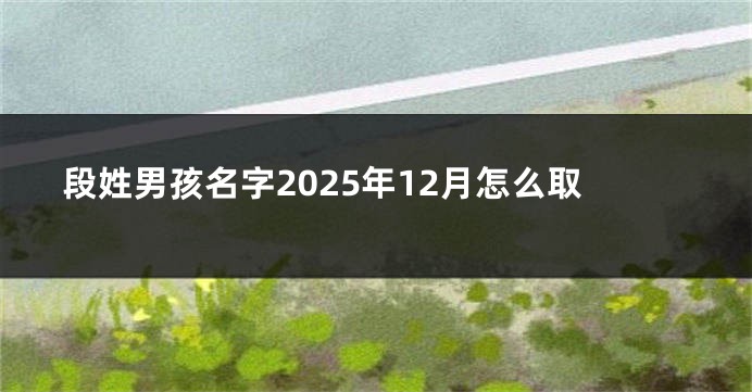 段姓男孩名字2025年12月怎么取