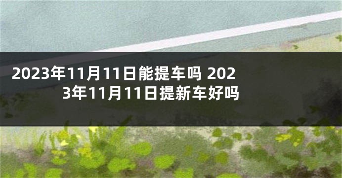 2023年11月11日能提车吗 2023年11月11日提新车好吗
