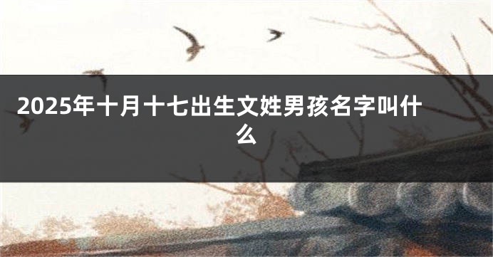 2025年十月十七出生文姓男孩名字叫什么