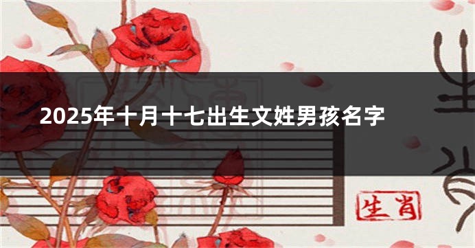 2025年十月十七出生文姓男孩名字