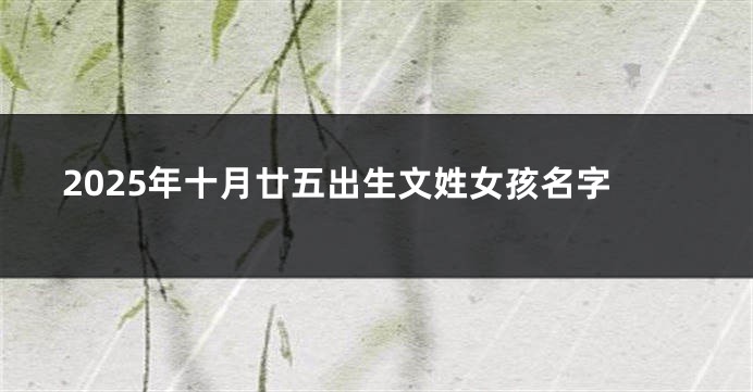 2025年十月廿五出生文姓女孩名字