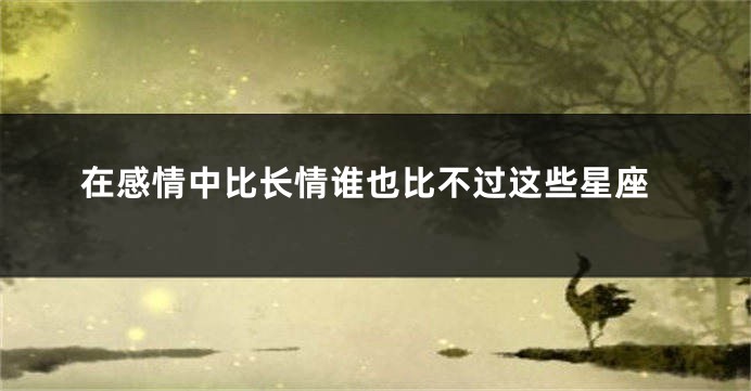 在感情中比长情谁也比不过这些星座