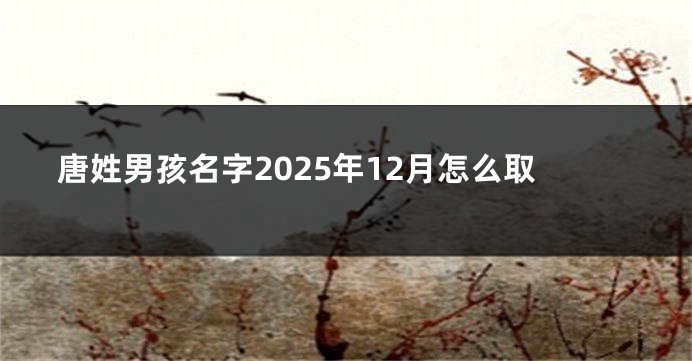 唐姓男孩名字2025年12月怎么取