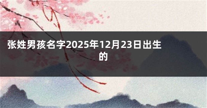 张姓男孩名字2025年12月23日出生的