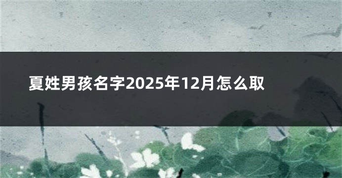 夏姓男孩名字2025年12月怎么取