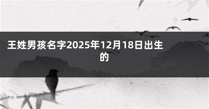 王姓男孩名字2025年12月18日出生的