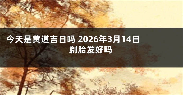 今天是黄道吉日吗 2026年3月14日剃胎发好吗