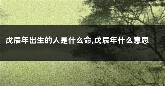 戊辰年出生的人是什么命,戊辰年什么意思