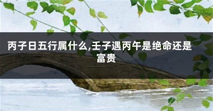 丙子日五行属什么,壬子遇丙午是绝命还是富贵