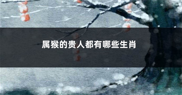 属猴的贵人都有哪些生肖