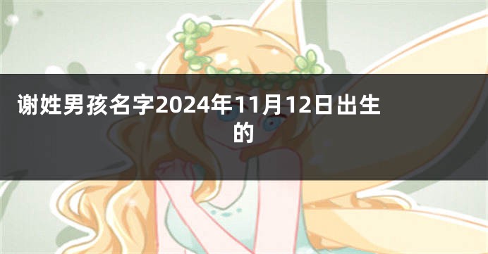 谢姓男孩名字2024年11月12日出生的