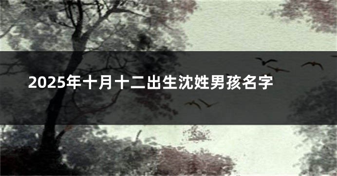 2025年十月十二出生沈姓男孩名字