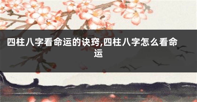 四柱八字看命运的诀窍,四柱八字怎么看命运