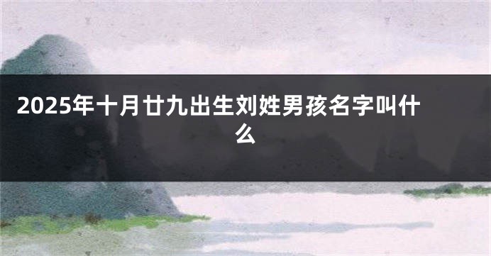 2025年十月廿九出生刘姓男孩名字叫什么