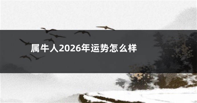 属牛人2026年运势怎么样 