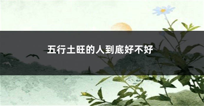 五行土旺的人到底好不好