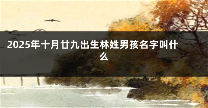 2025年十月廿九出生林姓男孩名字叫什么