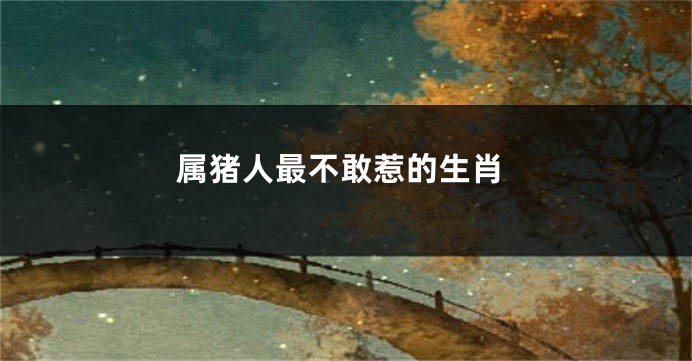 属猪人最不敢惹的生肖