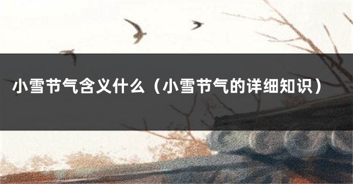 小雪节气含义什么（小雪节气的详细知识）