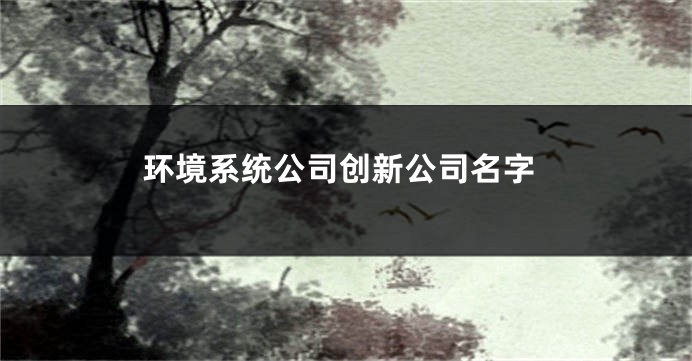 环境系统公司创新公司名字